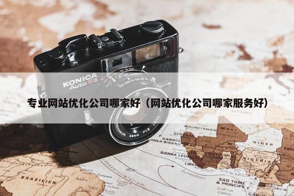 专业网站优化公司哪家好（网站优化公司哪家服务好）