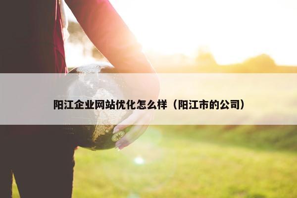 阳江企业网站优化怎么样（阳江市的公司）