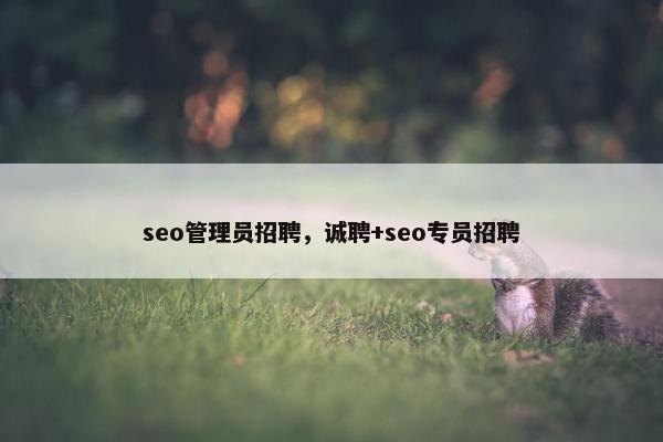 seo管理员招聘，诚聘+seo专员招聘