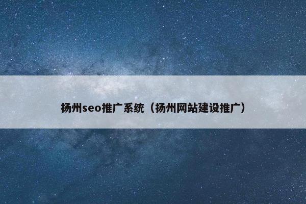扬州seo推广系统（扬州网站建设推广）