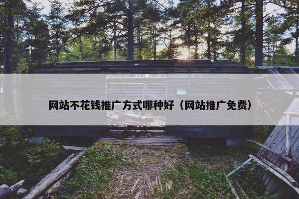 网站不花钱推广方式哪种好（网站推广免费）