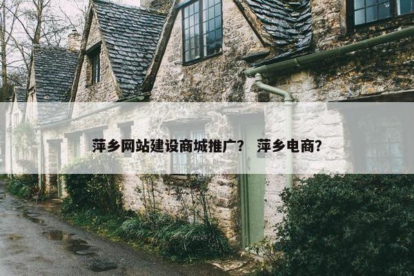萍乡网站建设商城推广？ 萍乡电商？