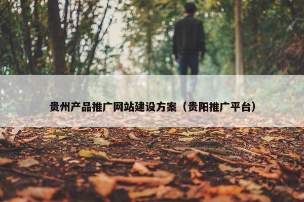 贵州产品推广网站建设方案（贵阳推广平台）