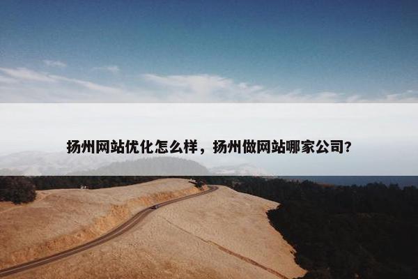 扬州网站优化怎么样，扬州做网站哪家公司?