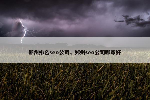 郑州排名seo公司，郑州seo公司哪家好