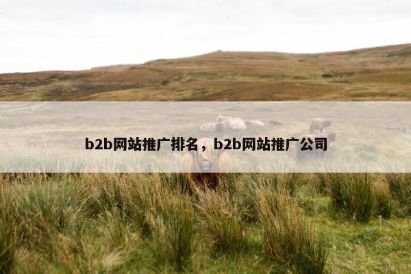 b2b网站推广排名，b2b网站推广公司
