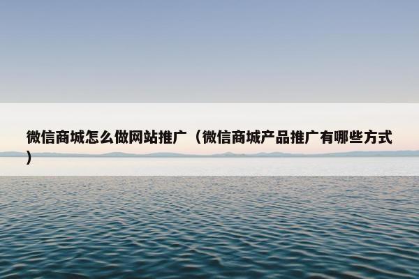 微信商城怎么做网站推广（微信商城产品推广有哪些方式）