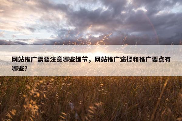 网站推广需要注意哪些细节，网站推广途径和推广要点有哪些?