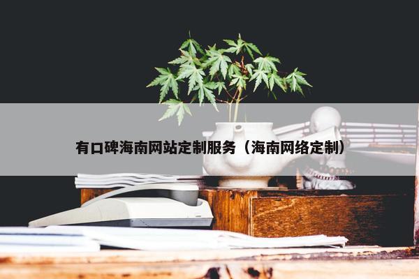 有口碑海南网站定制服务（海南网络定制）