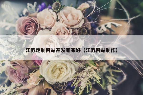 江苏定制网站开发哪家好（江苏网站制作）