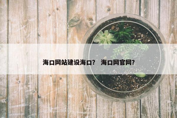 海口网站建设海口？ 海口网官网？