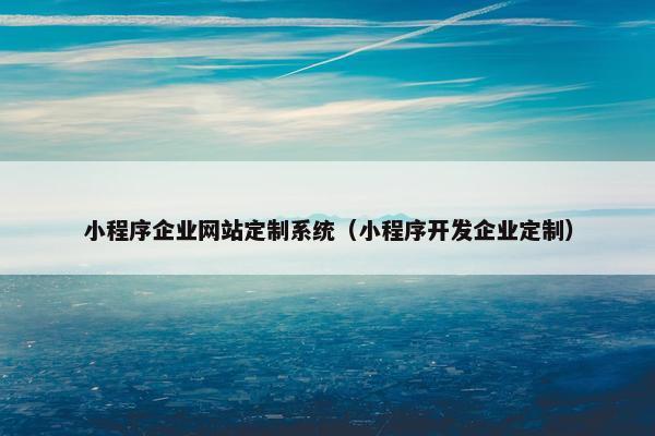 小程序企业网站定制系统（小程序开发企业定制）