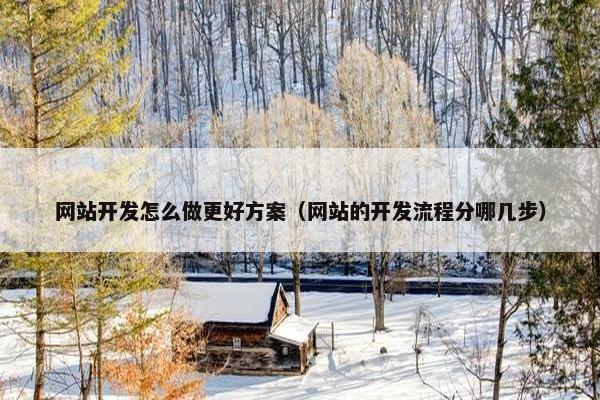网站开发怎么做更好方案（网站的开发流程分哪几步）