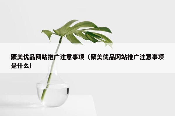 聚美优品网站推广注意事项（聚美优品网站推广注意事项是什么）