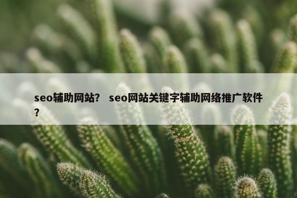 seo辅助网站？ seo网站关键字辅助网络推广软件？