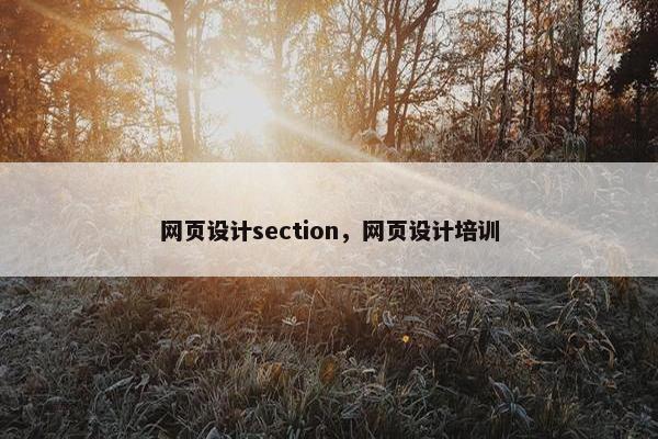 网页设计section，网页设计培训