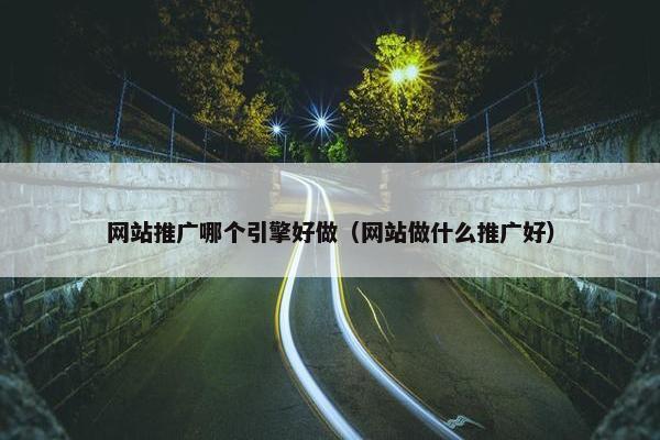 网站推广哪个引擎好做（网站做什么推广好）
