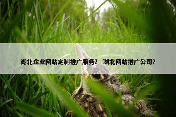 湖北企业网站定制推广服务？ 湖北网站推广公司？