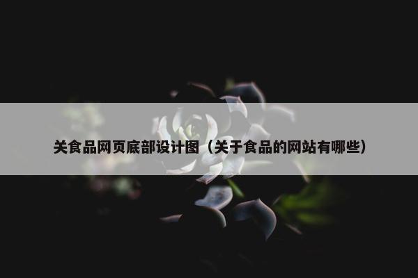 关食品网页底部设计图（关于食品的网站有哪些）