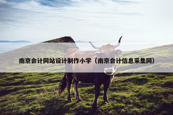 南京会计网站设计制作小学（南京会计信息采集网）