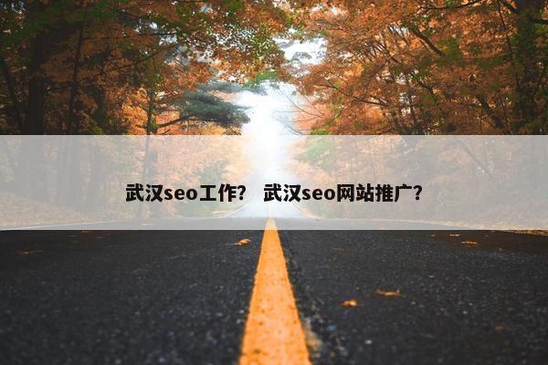 武汉seo工作？ 武汉seo网站推广？