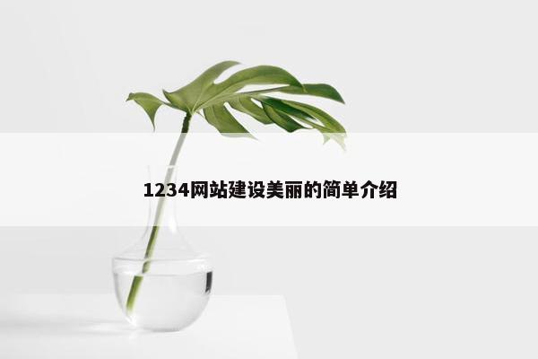 1234网站建设美丽的简单介绍