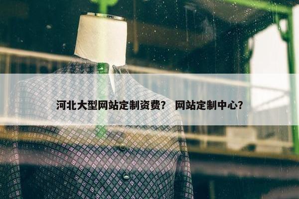 河北大型网站定制资费？ 网站定制中心？