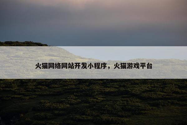 火猫网络网站开发小程序，火猫游戏平台