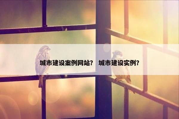 城市建设案例网站？ 城市建设实例？