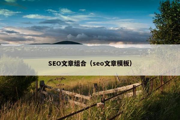 SEO文章组合（seo文章模板）