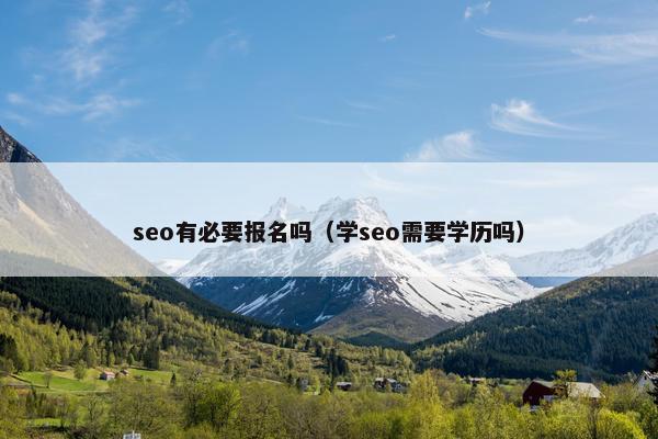 seo有必要报名吗（学seo需要学历吗）
