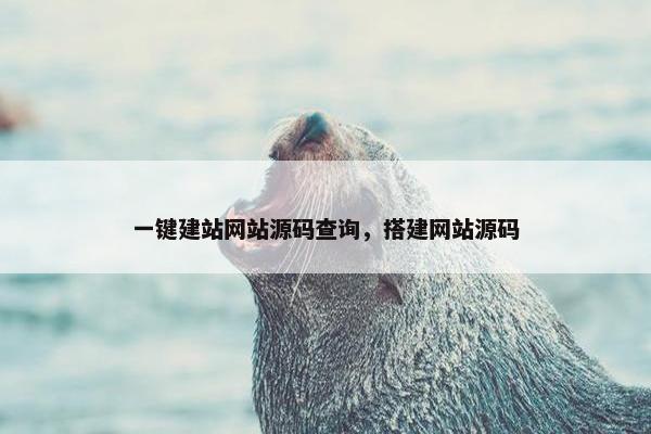 一键建站网站源码查询，搭建网站源码