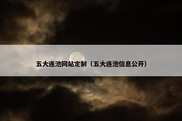 五大连池网站定制（五大连池信息公开）