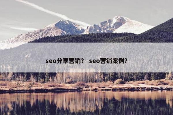 seo分享营销？ seo营销案例？
