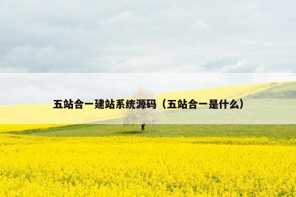 五站合一建站系统源码（五站合一是什么）