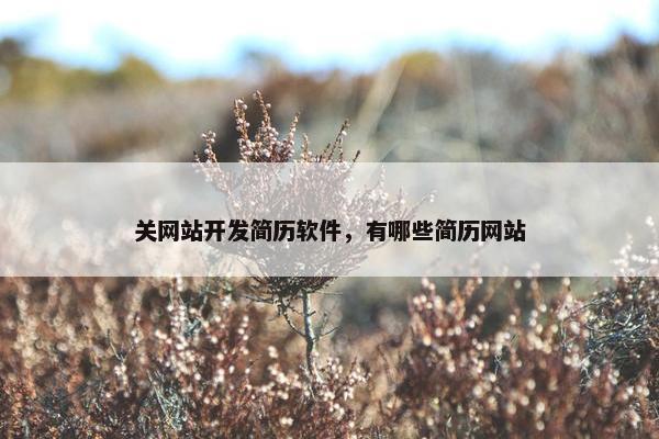 关网站开发简历软件，有哪些简历网站