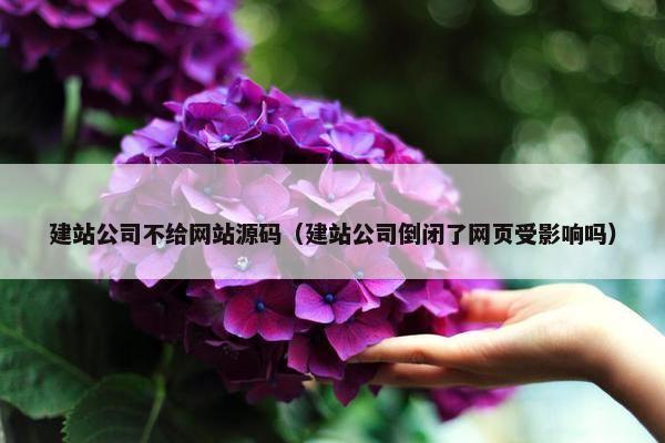 建站公司不给网站源码（建站公司倒闭了网页受影响吗）