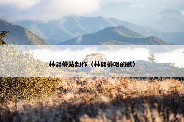 林熙蕾站制作（林熙蕾唱的歌）