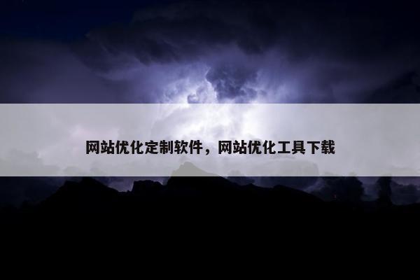 网站优化定制软件，网站优化工具下载