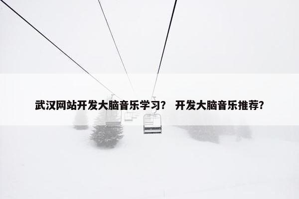 武汉网站开发大脑音乐学习？ 开发大脑音乐推荐？