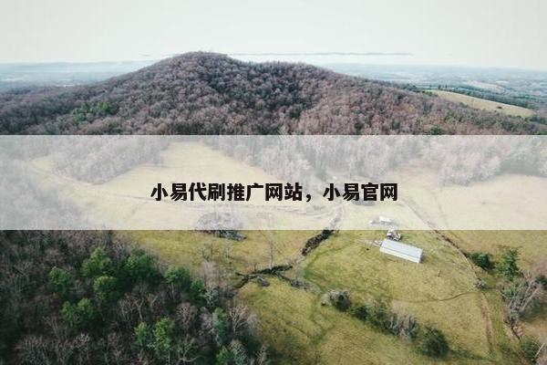 小易代刷推广网站，小易官网