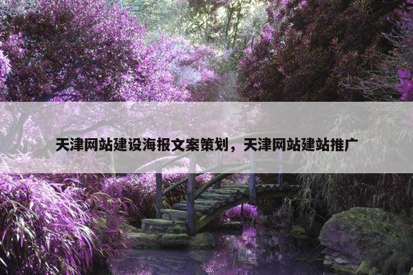 天津网站建设海报文案策划，天津网站建站推广