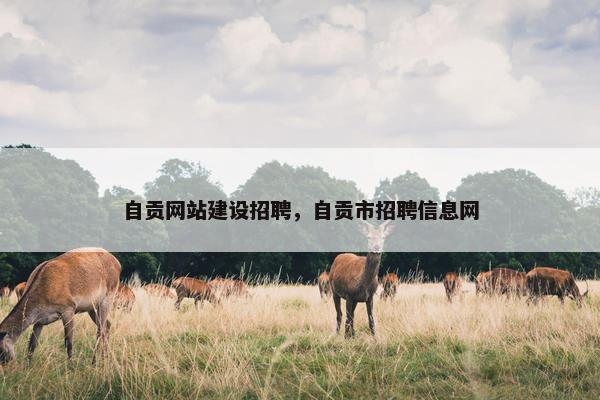 自贡网站建设招聘，自贡市招聘信息网
