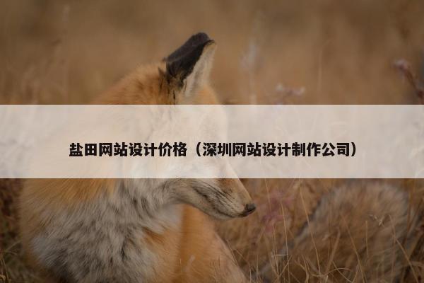 盐田网站设计价格（深圳网站设计制作公司）