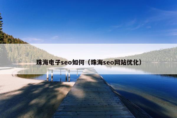 珠海电子seo如何（珠海seo网站优化）