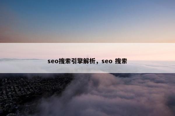 seo搜索引擎解析，seo 搜索