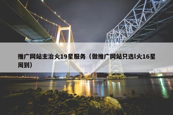 推广网站主治火19星服务（做推广网站只选l火16星周到）
