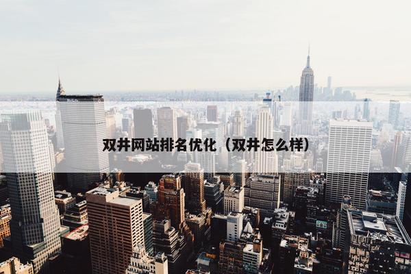 双井网站排名优化（双井怎么样）