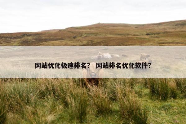网站优化极速排名？ 网站排名优化软件？