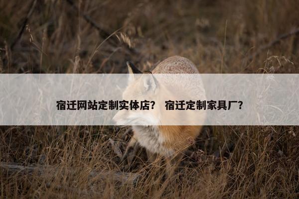 宿迁网站定制实体店？ 宿迁定制家具厂？